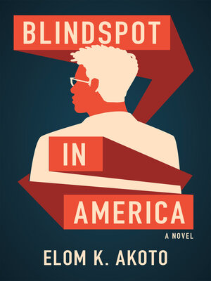 cover image of Blindspot in America